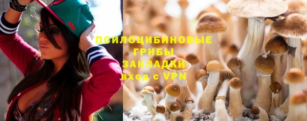 apvp Балабаново