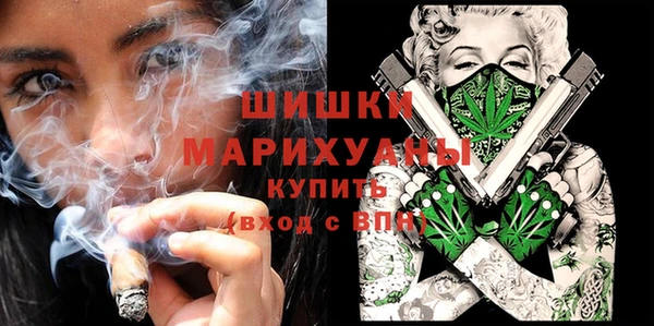 прущие грибы Баксан
