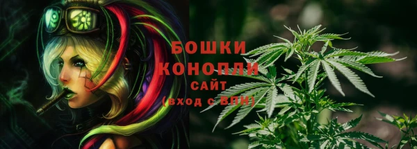 шишки Армянск