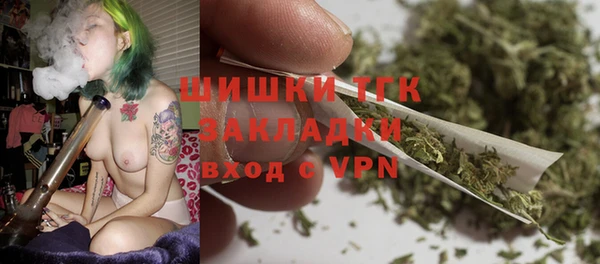 прущие грибы Баксан