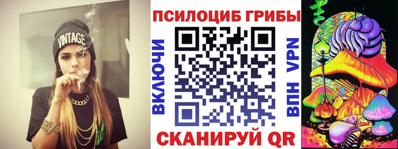 Галлюциногенные грибы Cubensis  Купить  Медногорск 